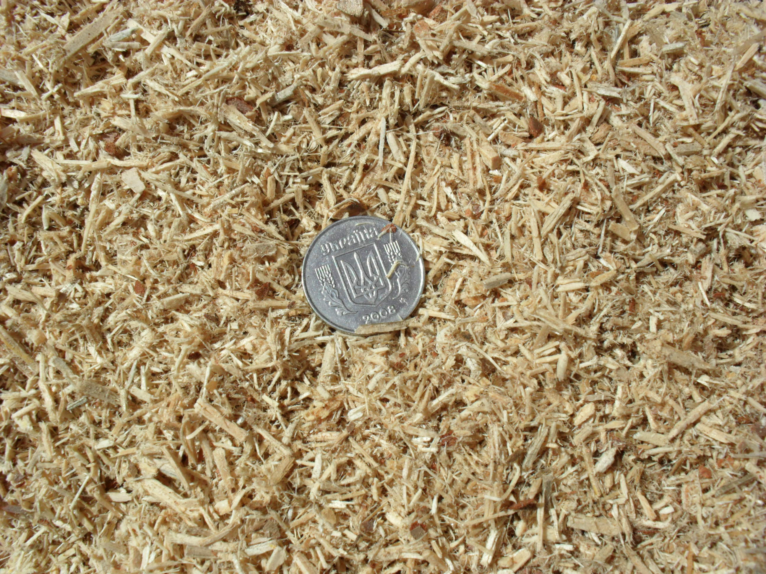../img/product/hammel/DP_660_M/chipper_dp_660_M_4.jpg